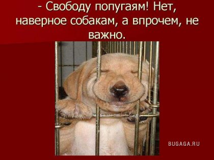 ПЬЯНСТВУ БОЙ))))))!!!!