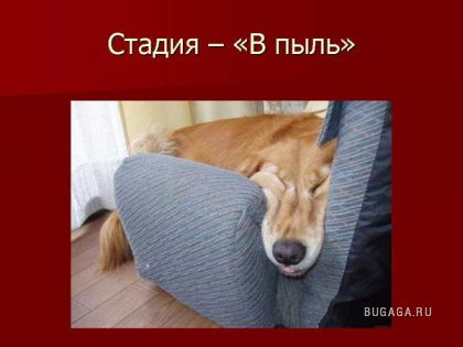 ПЬЯНСТВУ БОЙ))))))!!!!