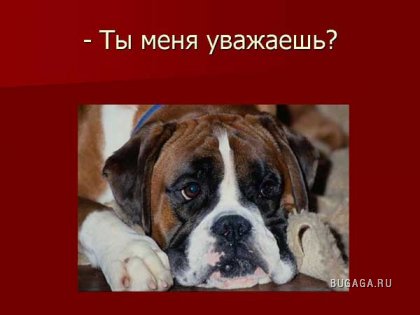 ПЬЯНСТВУ БОЙ))))))!!!!