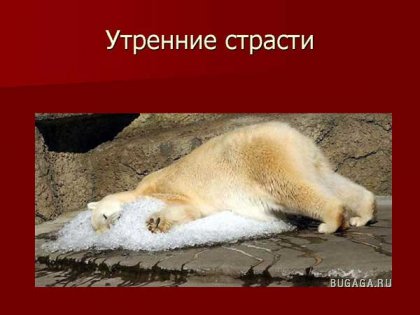 ПЬЯНСТВУ БОЙ))))))!!!!