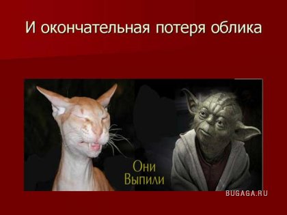 ПЬЯНСТВУ БОЙ))))))!!!!