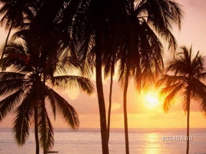 Солнце,море,пальмы...