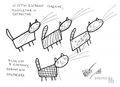 Коты. Инструкция для чайников.