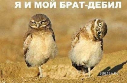 Funny pics))))