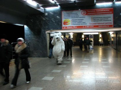 медведь в метро