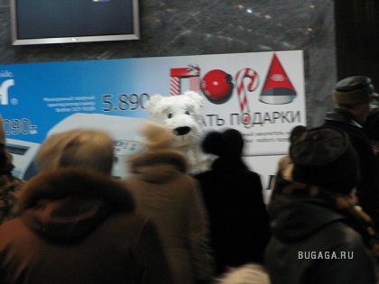 медведь в метро