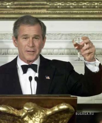 Неудачные фото Буша