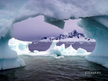 Фото-География: Антарктика